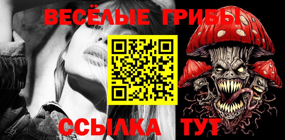 Псилоцибиновые грибы MAGIC MUSHROOMS  Вход с VPN  Дмитров 