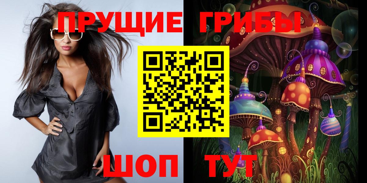 Галлюциногенные грибы Cubensis Дмитров